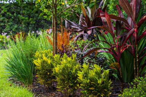 Irrigation system landscape beds water