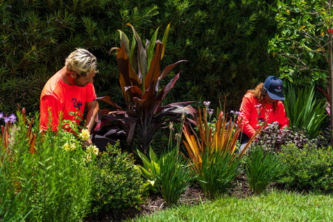 crew fine gardening landscape beds