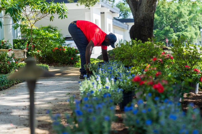 crew plant placement landscape 2-1