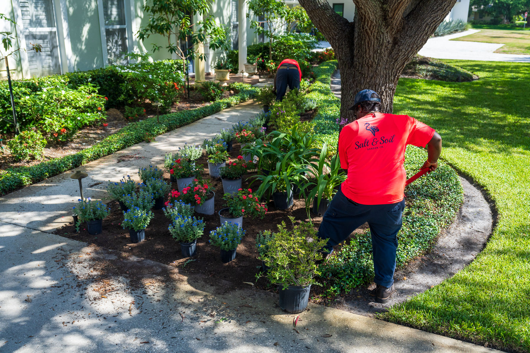 crew planting flowers landscape 1