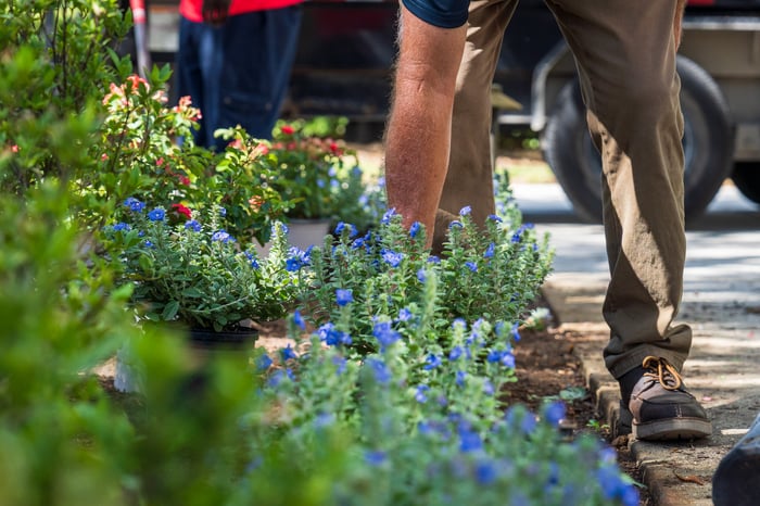 crew planting flowers landscape 4
