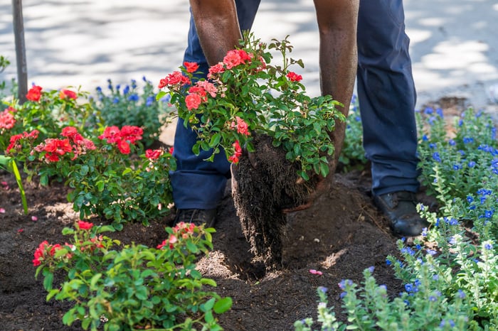 crew planting flowers landscape 9