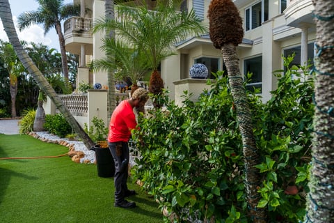 crew pruning back landscape beds turf