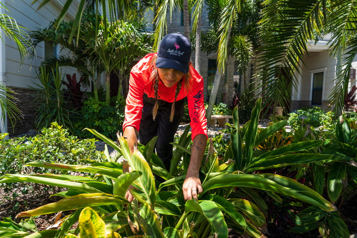 crew pruning back landscape plants 1