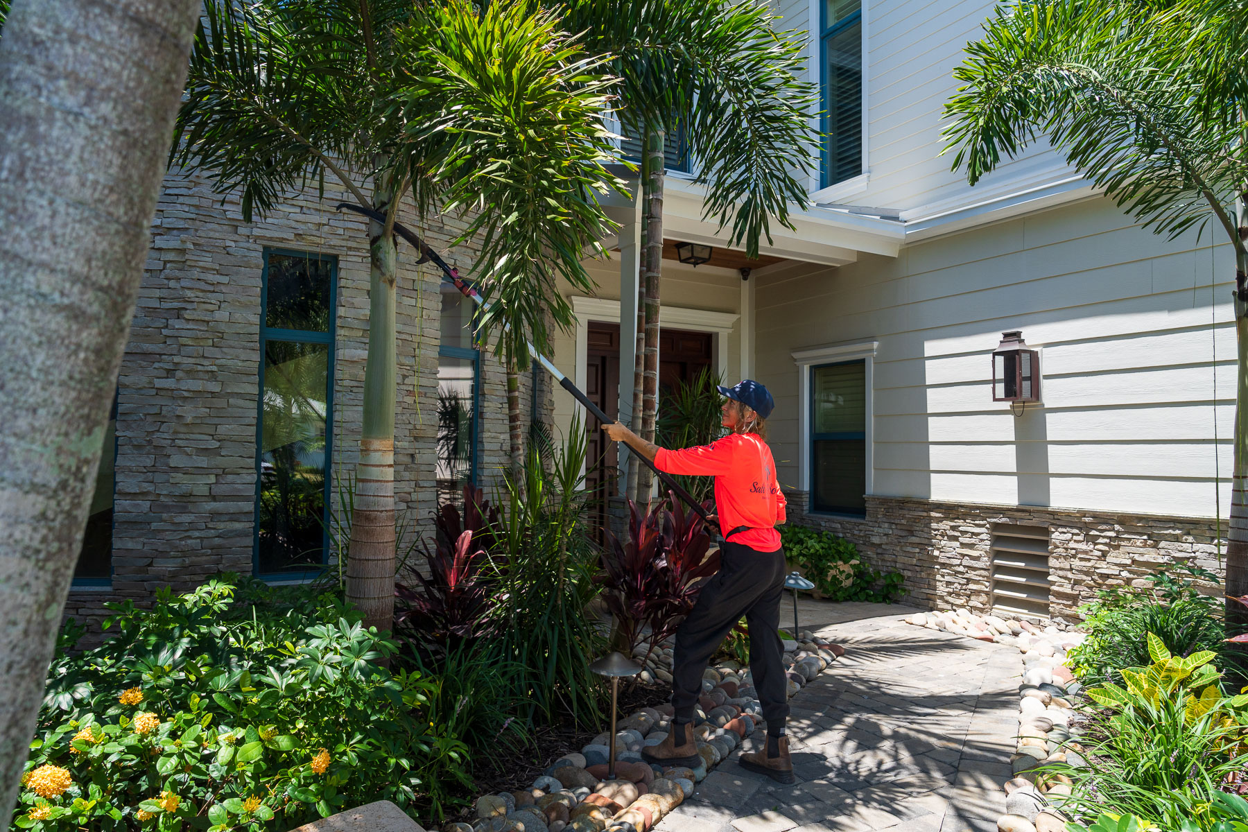 crew pruning back landscape trees