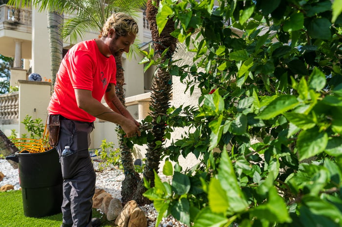 crew pruning back trees and shrubs