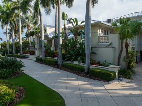 front of house artificial turf landscape beds