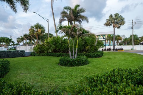 green lawn front yard landscape beds 1