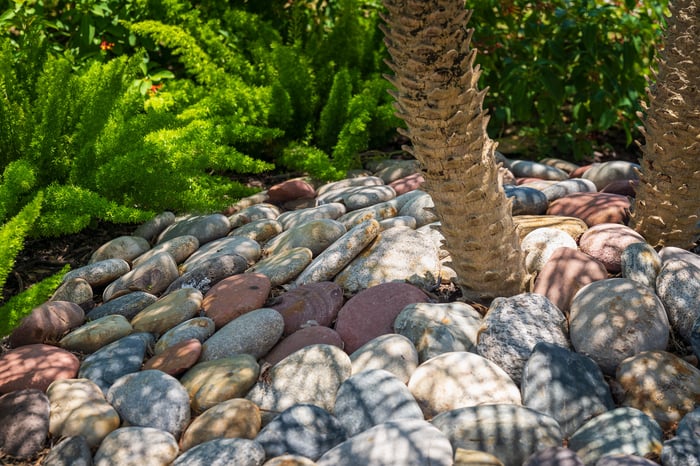 landscape beds around trees rocks