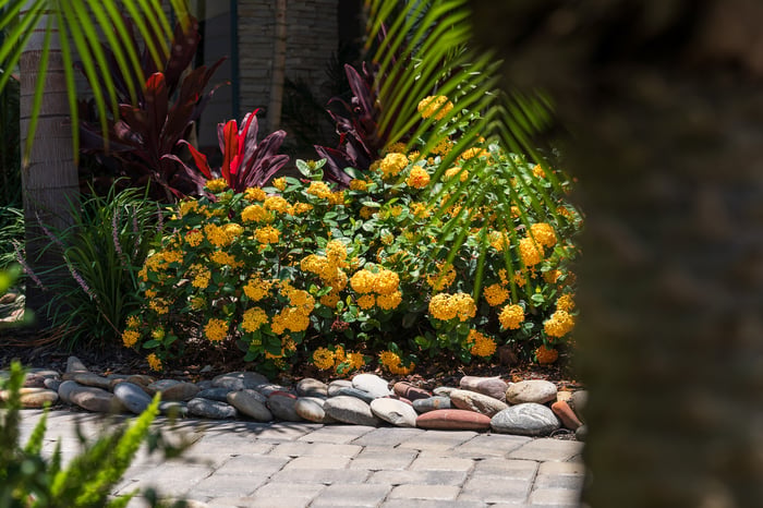 landscape beds flowers paver walkway