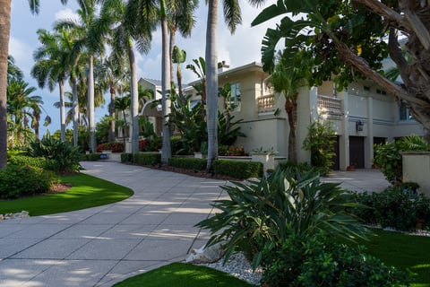 landscape beds green lawn driveway large palms 1