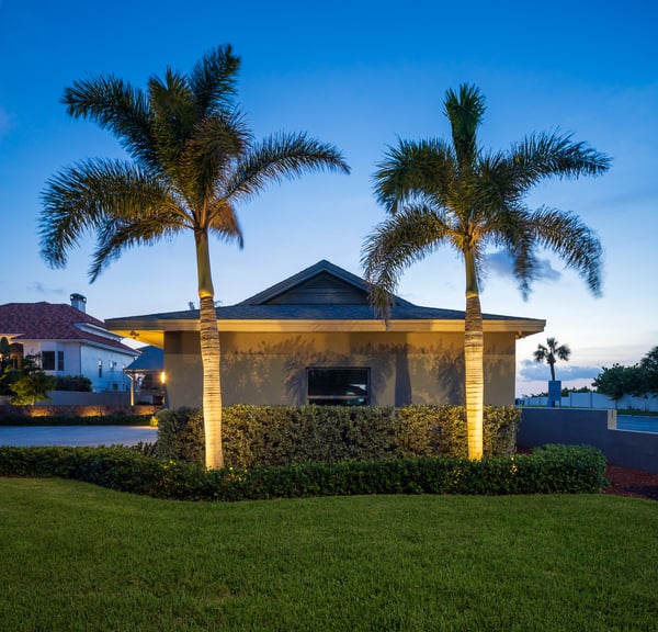 landscape lighting up lighting trees green lawn 1