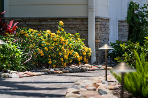 paver walkways landscape beds lighting