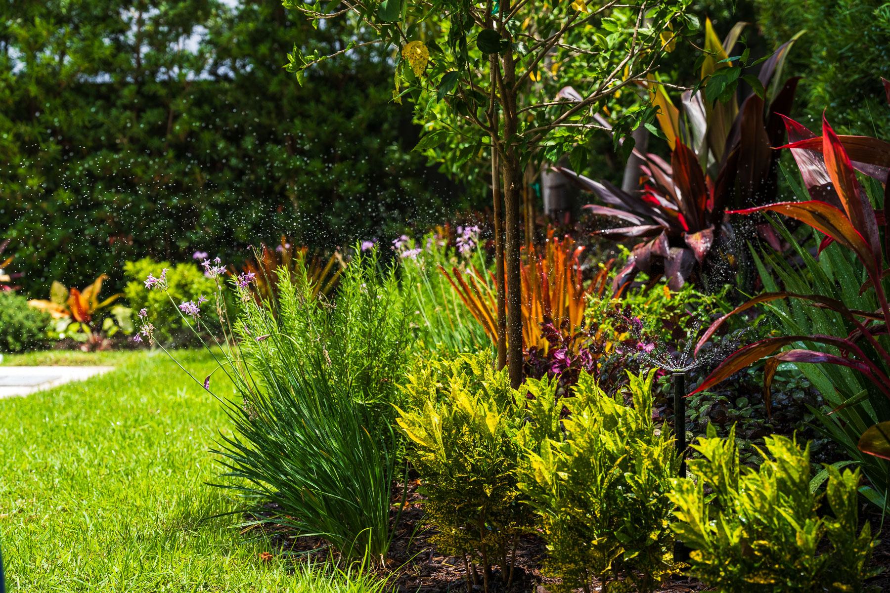 Irrigation system landscape beds water 1