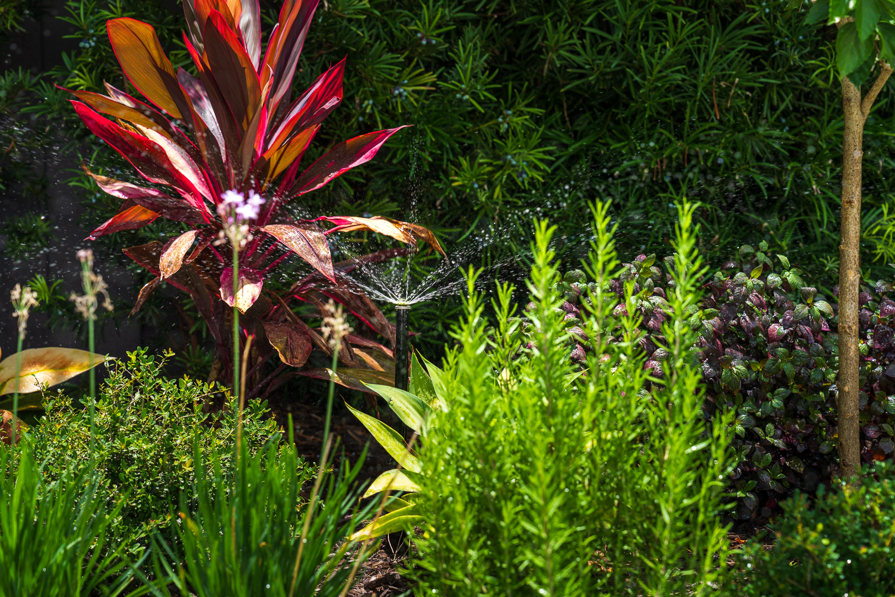 Irrigation system landscape beds